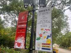 -上海都市菜园