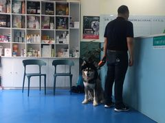 -佳怡动物医院·平价24小时·猫专科骨外科