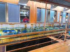 -蓝湾碧波·老字号·疍家非遗海上餐厅