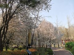 -清凉山国家森林公园