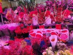 -花鸟鱼虫鲜花绿植市场(玉泉路店)