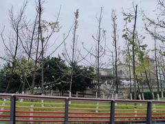 -府河摄影公园