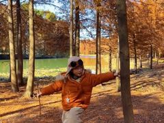 -上海海湾国家森林公园