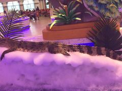 -澜悦港海鲜体验主题餐厅