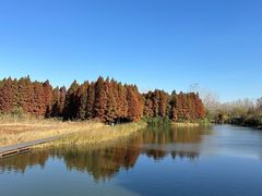 -溱湖国家湿地公园