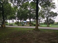 -艾溪湖湿地公园