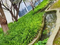 -无锡梁鸿湿地丽笙度假酒店·流觞西餐厅