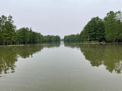 -池杉湖湿地公园