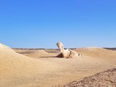 -哈密雅丹大海道景区