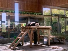 -西安秦岭野生动物园