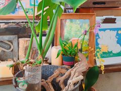 -ABCD咖啡屋(妇幼店)