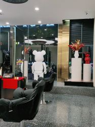 -IP SALON