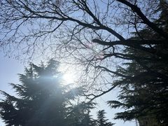 -响堂山石窟-北响堂山石窟