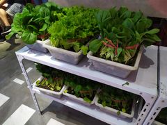 有机蔬菜-捞围鲜·港式打边炉(海阳路店)