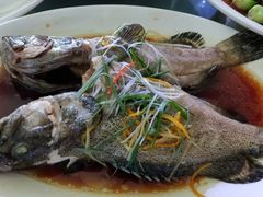 -上海雅居乐万豪侯爵酒店