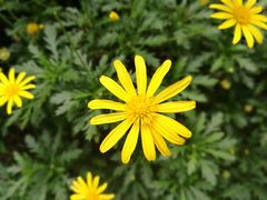 -成都中医药大学(温江校区)