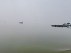 -滕州微山湖红荷湿地景区