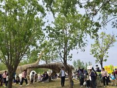 -西部长青自然儿童乐园