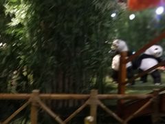 -成都泰迪熊博物馆