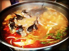 鲶鱼-弘烨 贵州酸汤 鱼火锅(东财店)