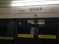 -杨高南路(地铁站)