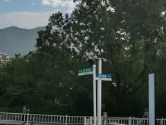 -泰山风景名胜区