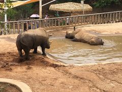-泉州海丝野生动物世界