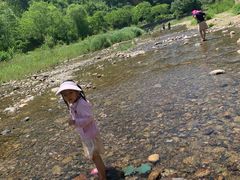 -白河湾生态旅游一条川