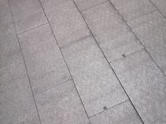 -约翰·菲茨杰拉德·肯尼迪国际机场