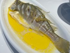 -锦顺海鲜•口味菜(李村店)