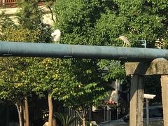 -南汇一王庙道观