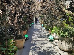 -The Grounds of Alexandria