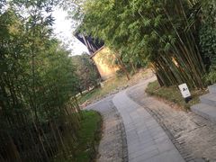 -崇阳三特浪口温泉