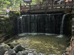 -黄龙溪古镇