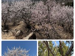-白水寺森林公园