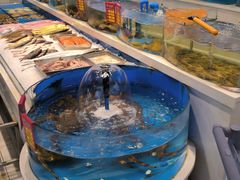 -北塘海鲜·天津菜(大光明桥旗舰店)