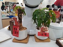 -COMPANION COFFEE小伴咖啡