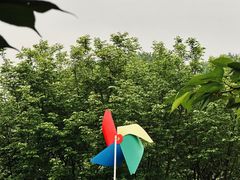 -福建鲤鱼洲酒店