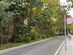 -东莞植物园