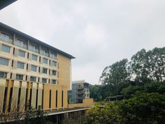 -南宁荔园维景国际酒店·荔园中餐厅