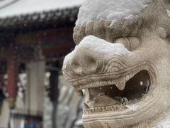 -团结湖公园