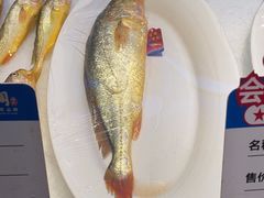 -海立阁海鲜江浙菜(漕河泾印象城店)
