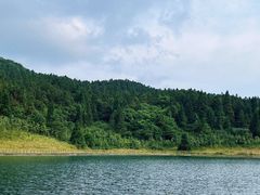 -武陵山森林公园