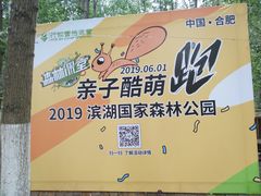 -合肥滨湖国家森林公园