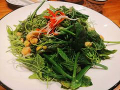清炒南瓜尖儿-巴依老爷新疆美食(常营店)