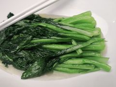 清炒菜心-鸭王烤鸭店(三里河店)