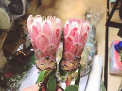 -ChaKo Flora ·茶子花艺 (市北店)