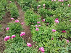 -长春公园(普阳街道)