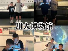 -四川大学博物馆