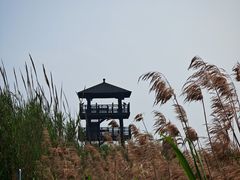 -漩门湾国家湿地公园